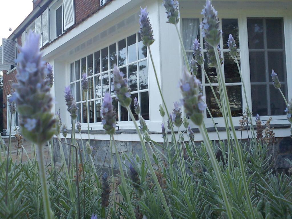 Josephine Boutique Hotel ปุนตา เดล เอสเต ภายนอก รูปภาพ